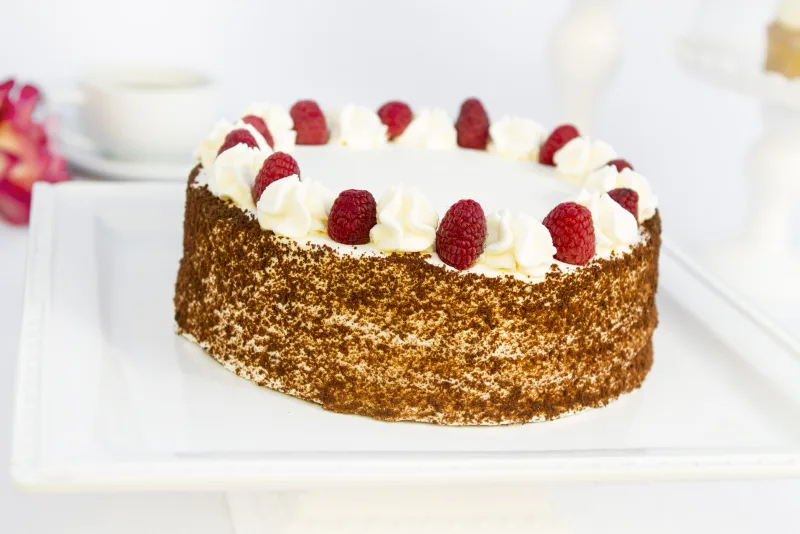 Chocolate Raspberry Cake