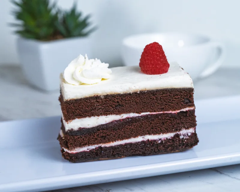 Chocolate Raspberry Slice